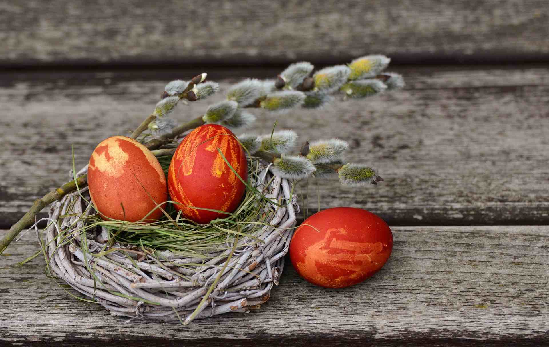 ostern-2023-tierarzt-oeffnungszeiten